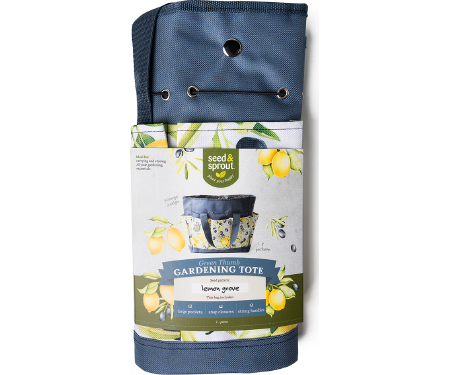 D37 SNSBAG2LG